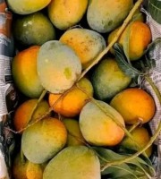 20 কেজি হিমসাগর আম 130 টাকা করে 2600 টাকা (ফ্রি ডেলিভারি)